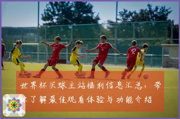 世界杯买球主站福利信息汇总，带你了解最佳观看体验与功能介绍