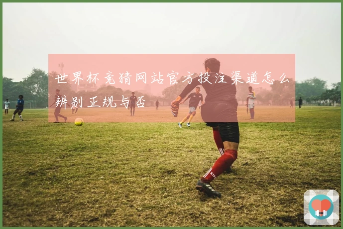 世界杯竞猜网站官方投注渠道怎么辨别正规与否