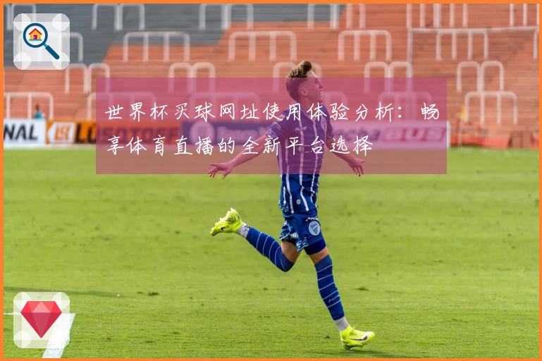 世界杯买球网址使用体验分析：畅享体育直播的全新平台选择