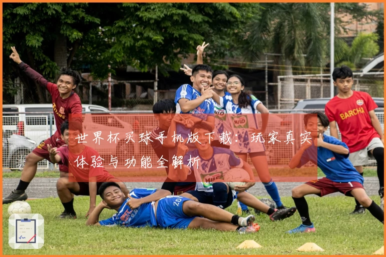世界杯买球手机版下载：玩家真实体验与功能全解析