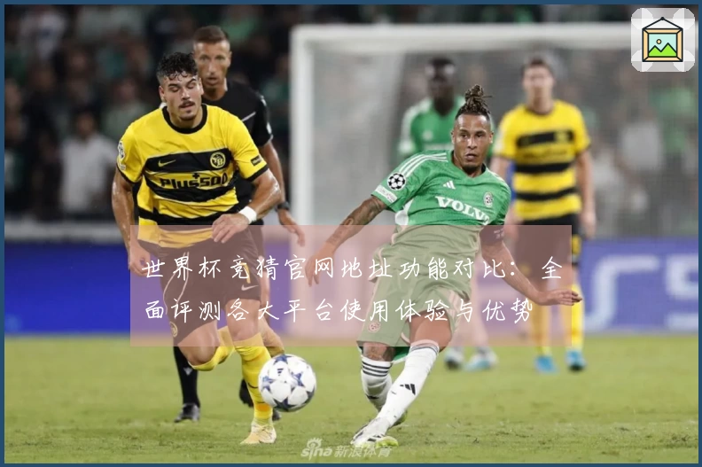 世界杯竞猜官网地址功能对比：全面评测各大平台使用体验与优势