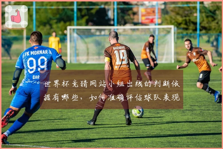 世界杯竞猜网站小组出线的判断依据有哪些，如何准确评估球队表现？