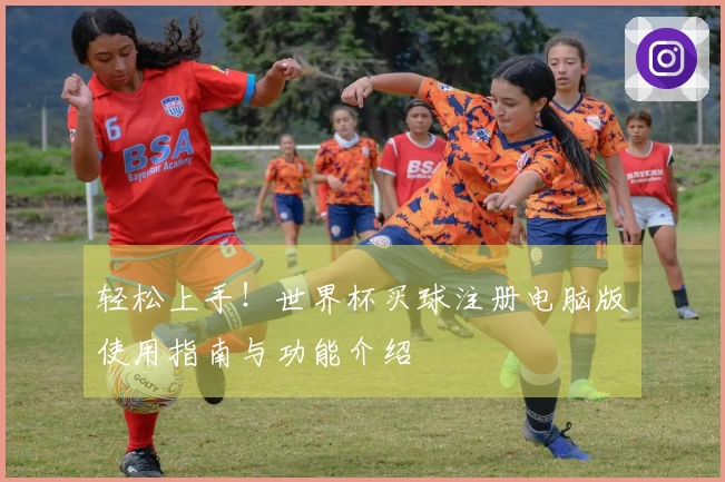 轻松上手！世界杯买球注册电脑版使用指南与功能介绍