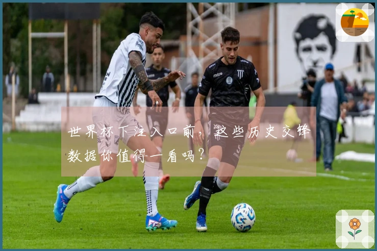 世界杯下注入口前，这些历史交锋数据你值得一看吗？