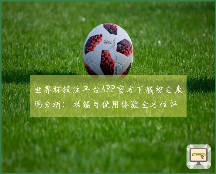 世界杯投注平台APP官方下载综合表现分析：功能与使用体验全方位评测