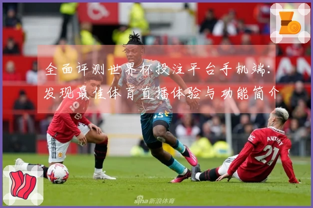 全面评测世界杯投注平台手机端：发现最佳体育直播体验与功能简介