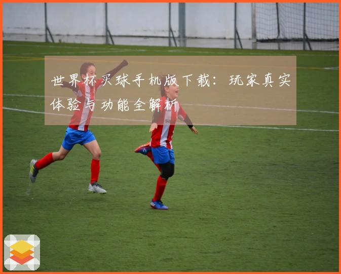 世界杯买球手机版下载：玩家真实体验与功能全解析