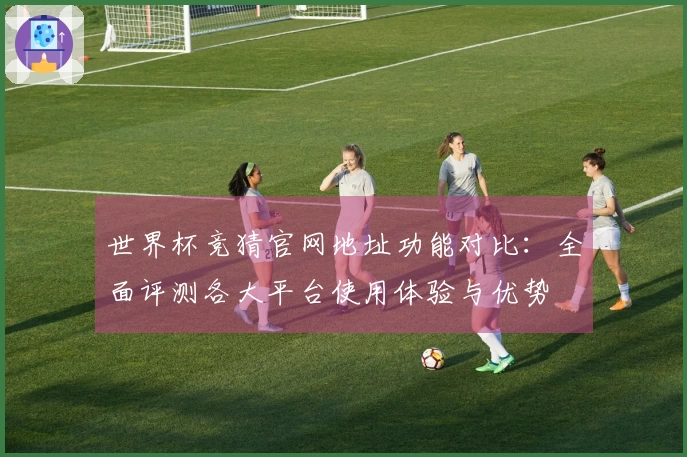 世界杯竞猜官网地址功能对比：全面评测各大平台使用体验与优势