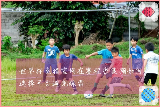 世界杯竞猜官网在赛程密集期如何选择平台避免踩雷