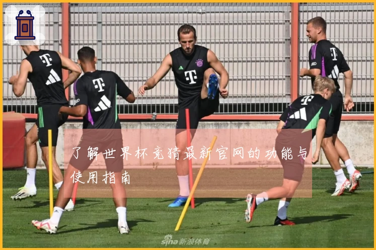 了解世界杯竞猜最新官网的功能与使用指南