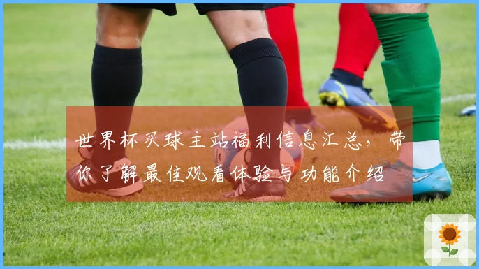 世界杯买球主站福利信息汇总，带你了解最佳观看体验与功能介绍