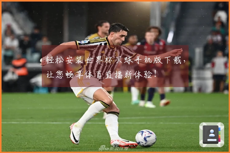 轻松安装世界杯买球手机版下载，让您畅享体育直播新体验！