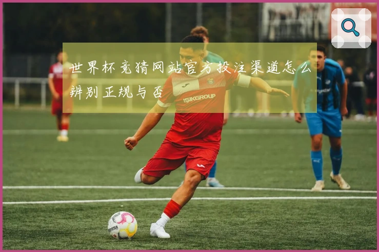 世界杯竞猜网站官方投注渠道怎么辨别正规与否